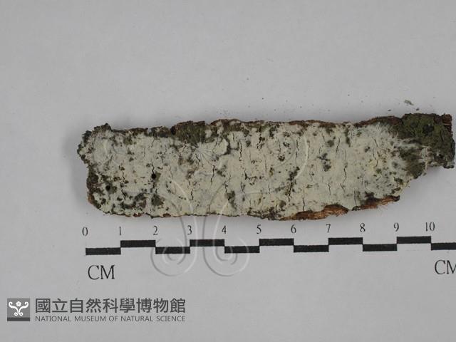 登錄號:F0029393藏品圖，第1張