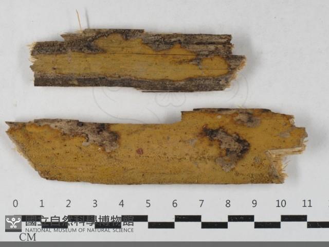 登錄號:F0033393藏品圖，第1張