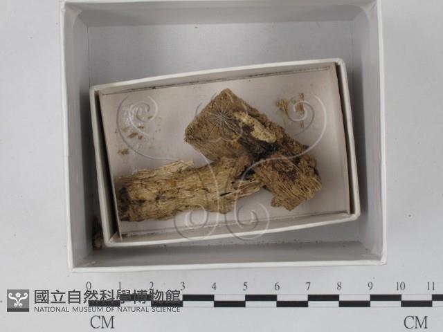 登錄號:F0018283藏品圖，第1張