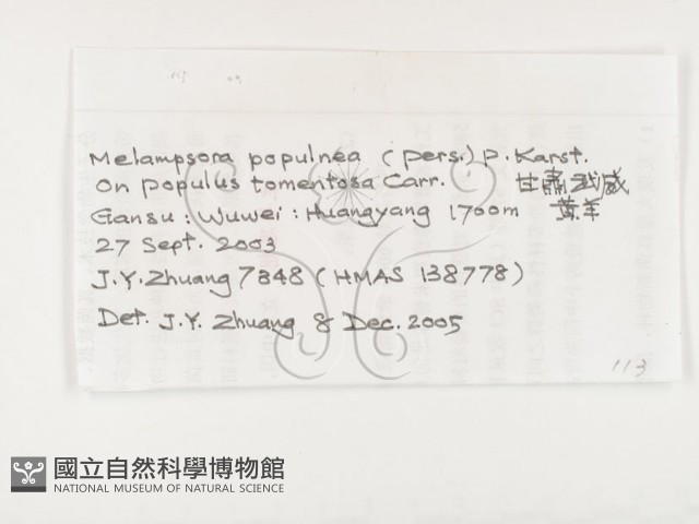 登錄號:F0026283藏品圖，第3張