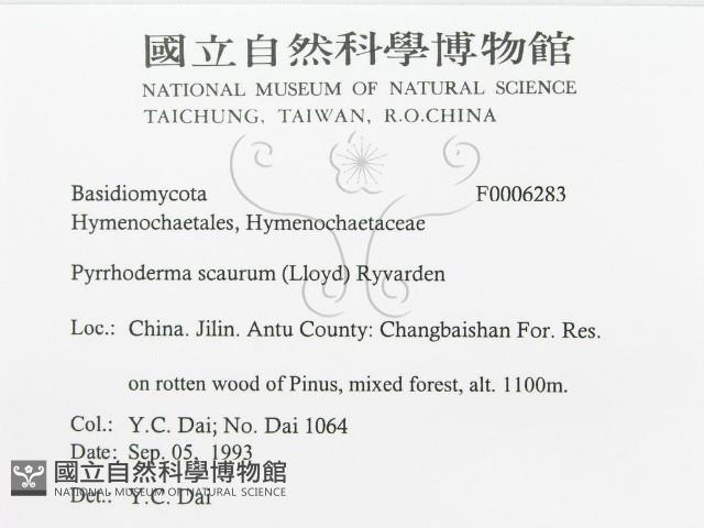 登錄號:F0006283藏品圖，第3張