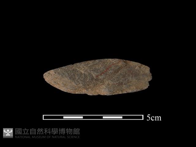 網墜藏品圖，第1張