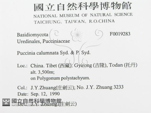 登錄號:F0019283藏品圖，第3張