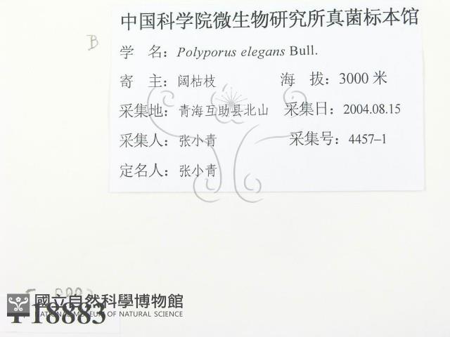 登錄號:F0018883藏品圖，第3張