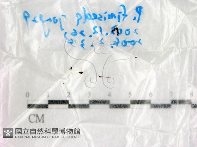登錄號:F0016883藏品圖，第1張
