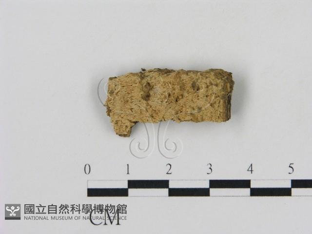 登錄號:F0002883藏品圖，第1張