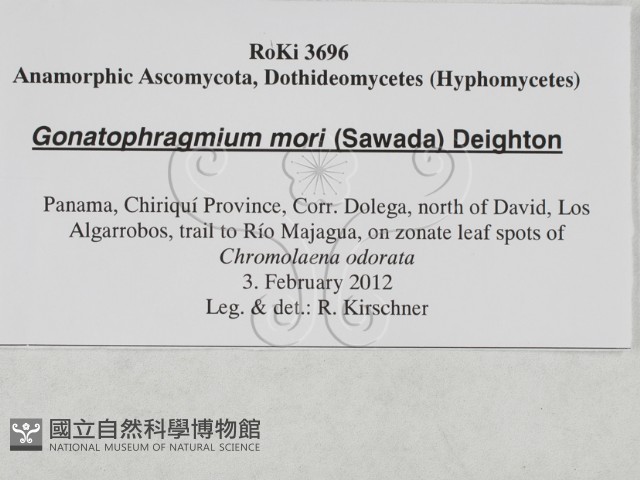 登錄號:F0027883藏品圖，第3張