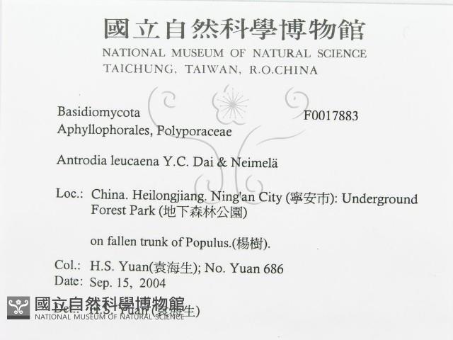 登錄號:F0017883藏品圖，第3張