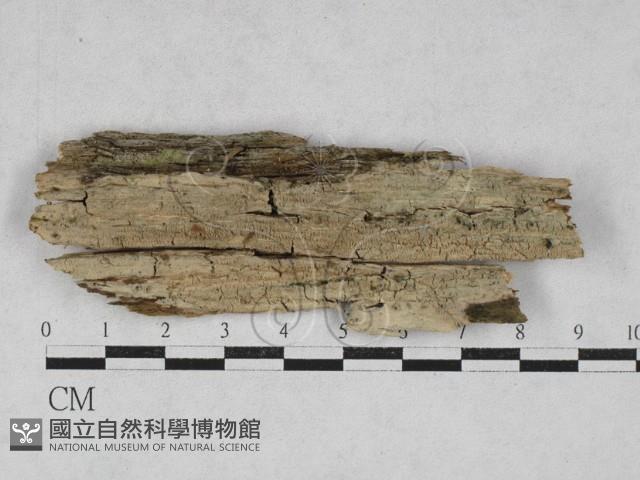 登錄號:F0027983藏品圖，第1張