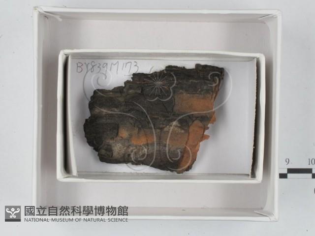 登錄號:F0017983藏品圖，第1張