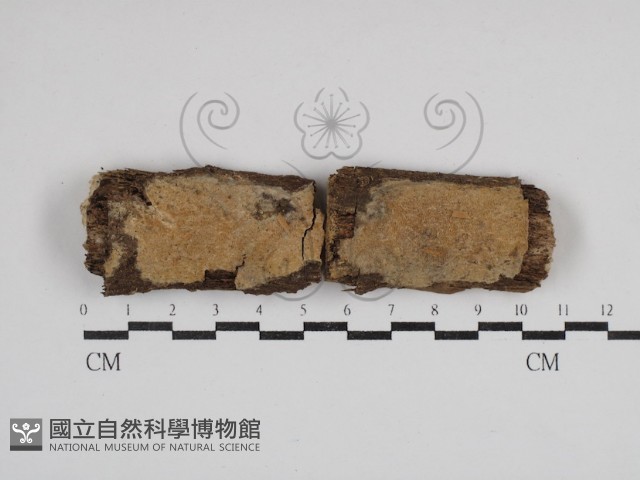 登錄號:F0030683藏品圖，第1張