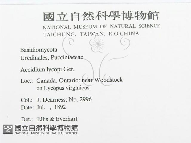 登錄號:F0011683藏品圖，第3張
