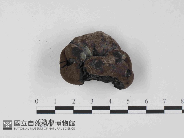 登錄號:F0023683藏品圖，第1張