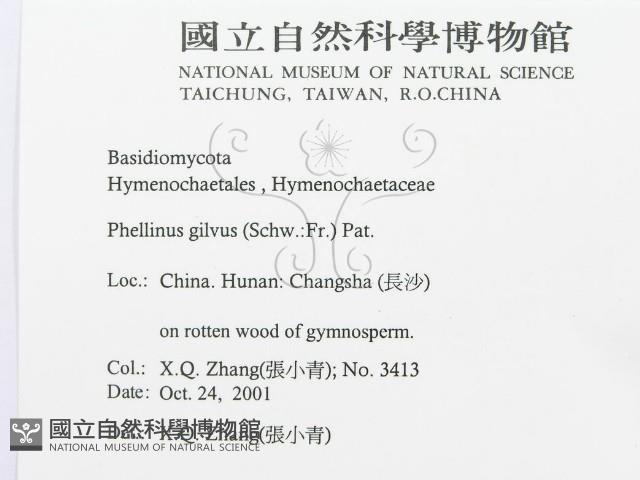 登錄號:F0016483藏品圖，第3張