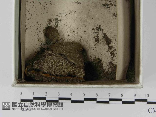 登錄號:F0021483藏品圖，第1張