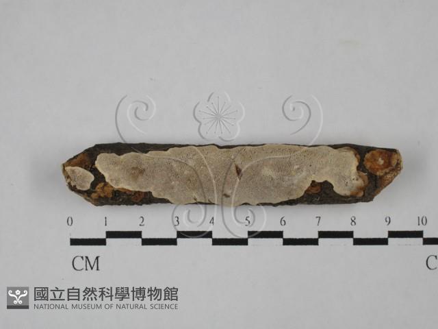 登錄號:F0022483藏品圖，第1張