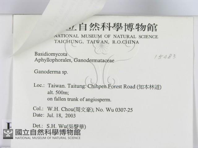 登錄號:F0015483藏品圖，第3張