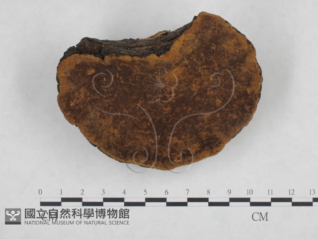 登錄號:F0024783藏品圖，第1張