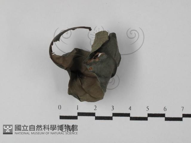 登錄號:F0029783藏品圖，第1張