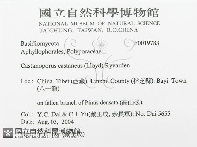 登錄號:F0019783藏品圖，第3張