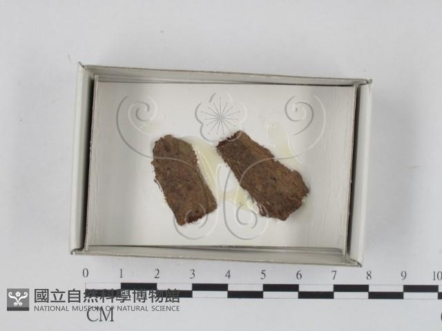 登錄號:F0018583藏品圖，第1張