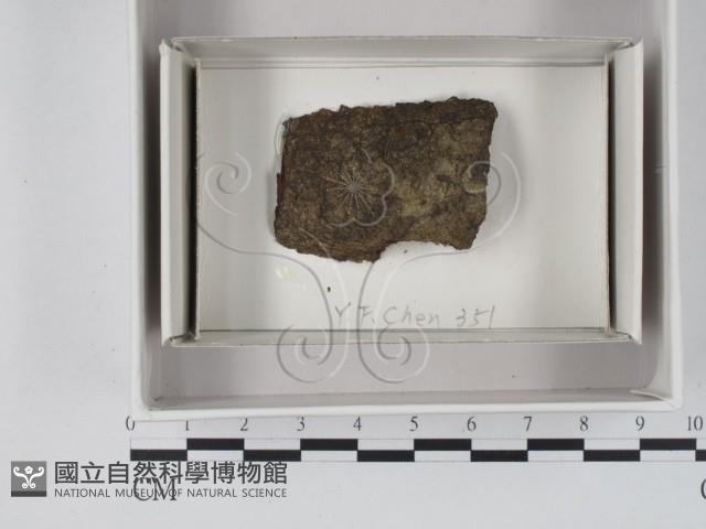 登錄號:F0020583藏品圖，第1張