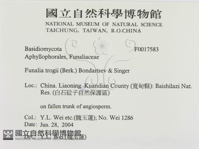 登錄號:F0017583藏品圖，第3張
