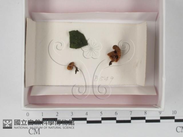 登錄號:F0018183藏品圖，第1張