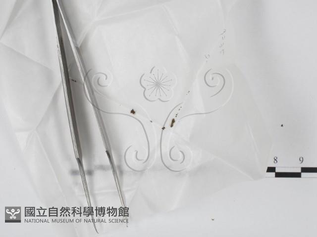 登錄號:F0000183藏品圖，第1張