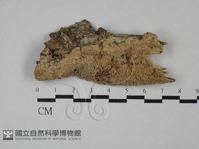 登錄號:F0029183藏品圖，第1張