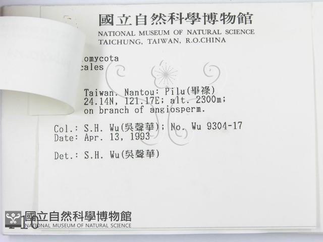 登錄號:F0001083藏品圖，第3張