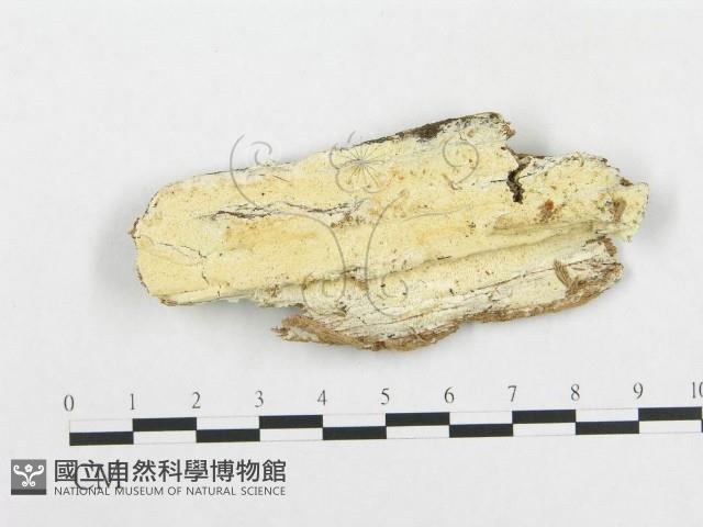 登錄號:F0014083藏品圖，第1張