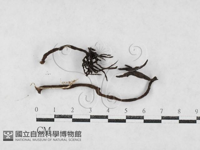 登錄號:F0027083藏品圖，第1張