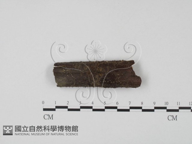 登錄號:F0003083藏品圖，第1張