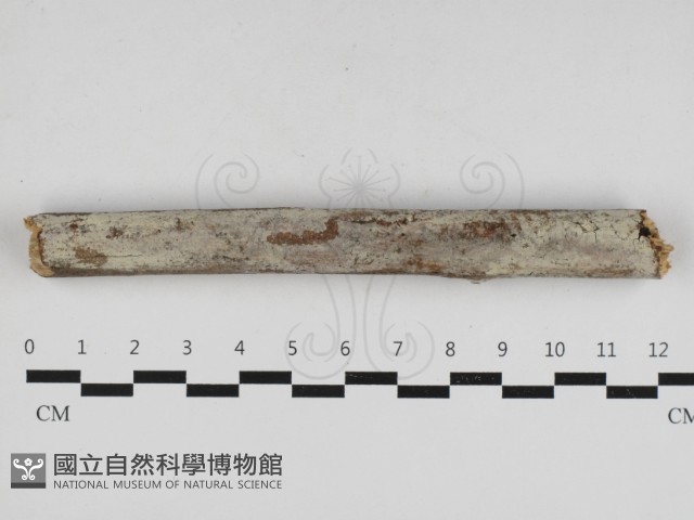 登錄號:F0033083藏品圖，第1張