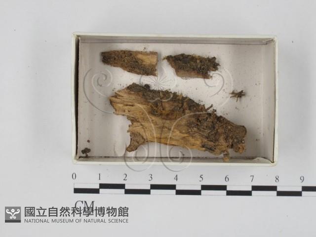 登錄號:F0018383藏品圖，第1張