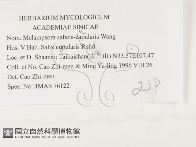 登錄號:F0026383藏品圖，第3張