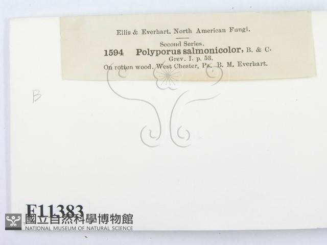 登錄號:F0011383藏品圖，第3張