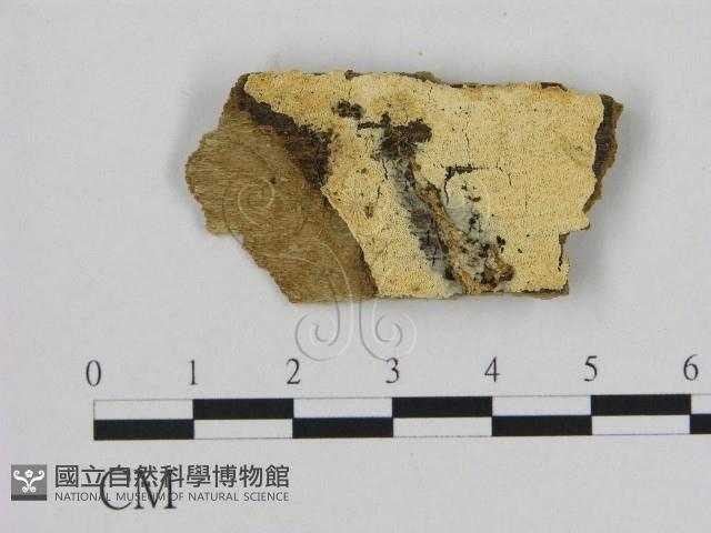 登錄號:F0017383藏品圖，第1張