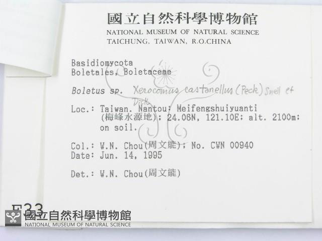 登錄號:F0003383藏品圖，第3張