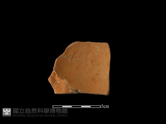 陶片藏品圖，第1張