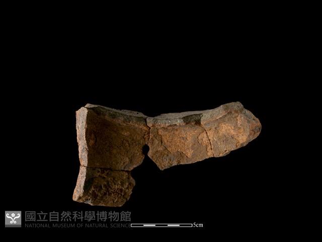 陶罐藏品圖，第2張