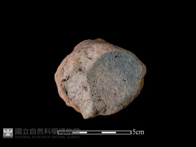 陶罐藏品圖，第2張