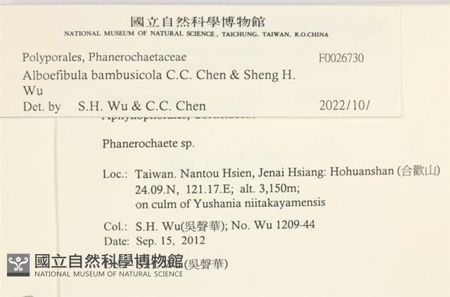 登錄號:F0026730藏品圖，第5張