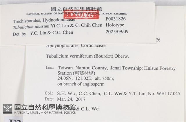 登錄號:F0031826藏品圖，第4張