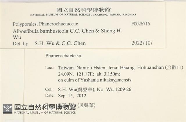 登錄號:F0026716藏品圖，第5張