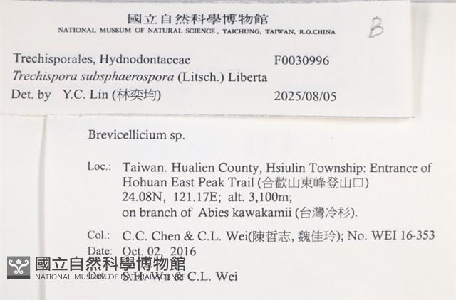 登錄號:F0030996藏品圖，第4張