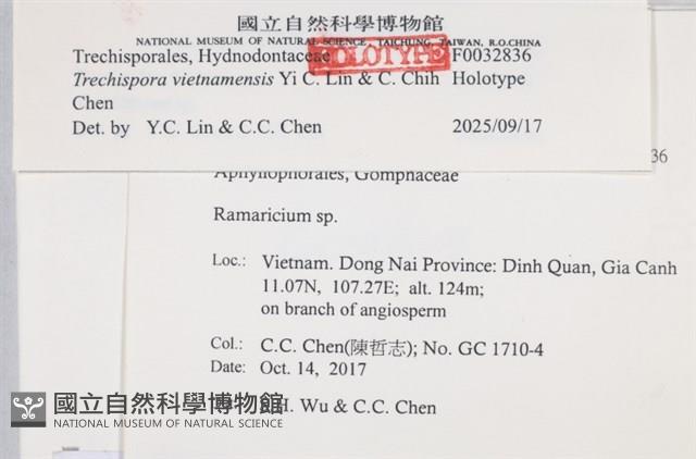 登錄號:F0032836藏品圖，第4張