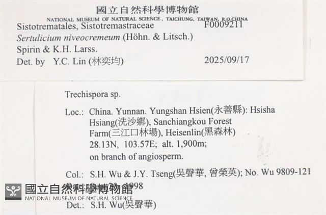 登錄號:F0009211藏品圖，第4張