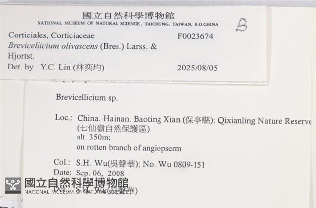 登錄號:F0023674藏品圖，第4張